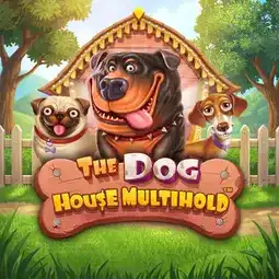 The Dog House Multihold game at Dazard Casino for Australia players